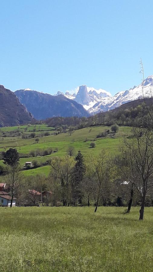 La Casa De La Vega Villa Arenas De Cabrales Eksteriør bilde
